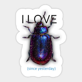 I LOVE *beetle* since yesterday Sticker